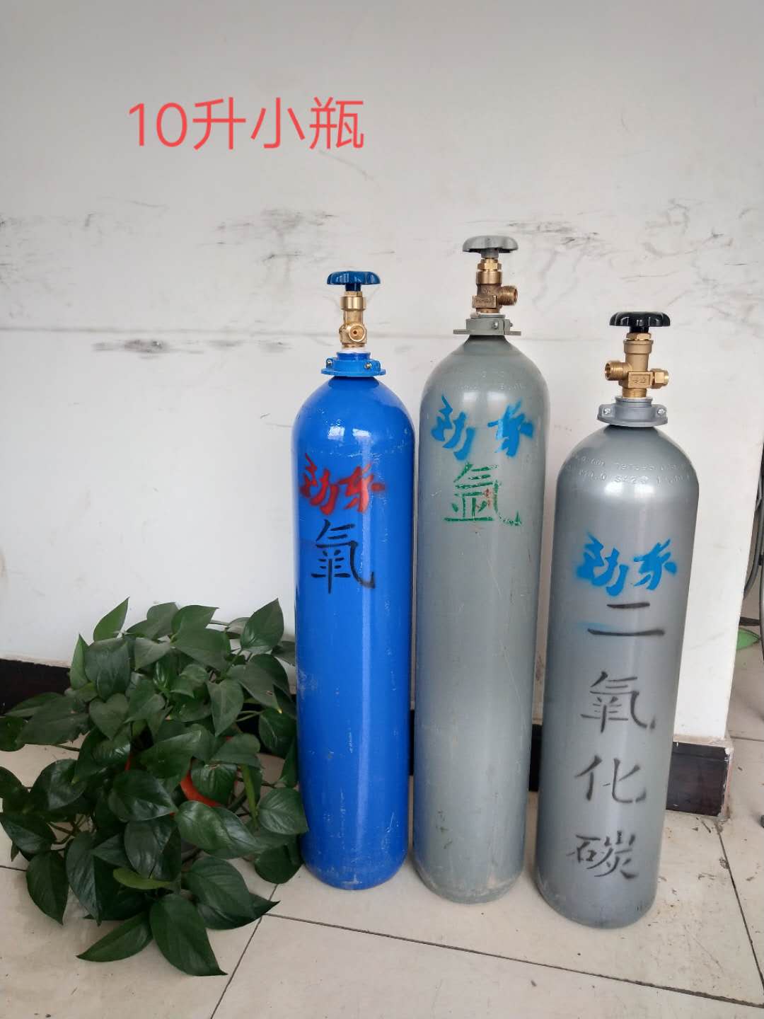 寧夏氧氣,寧夏氮氣,寧夏干冰,寧夏二氧化碳,寧夏氫氣，寧夏氦氣，寧夏氬氣，寧夏丙烷，寧夏乙炔，寧夏混合氣，寧夏高純空氣，寧夏液化石油氣，銀川氧氣,銀川氮氣,銀川干冰,銀川二氧化碳,銀川氫氣，銀川氦氣，銀川氬氣，銀川丙烷，銀川乙炔，銀川混合氣，銀川高純空氣，銀川液化石油氣